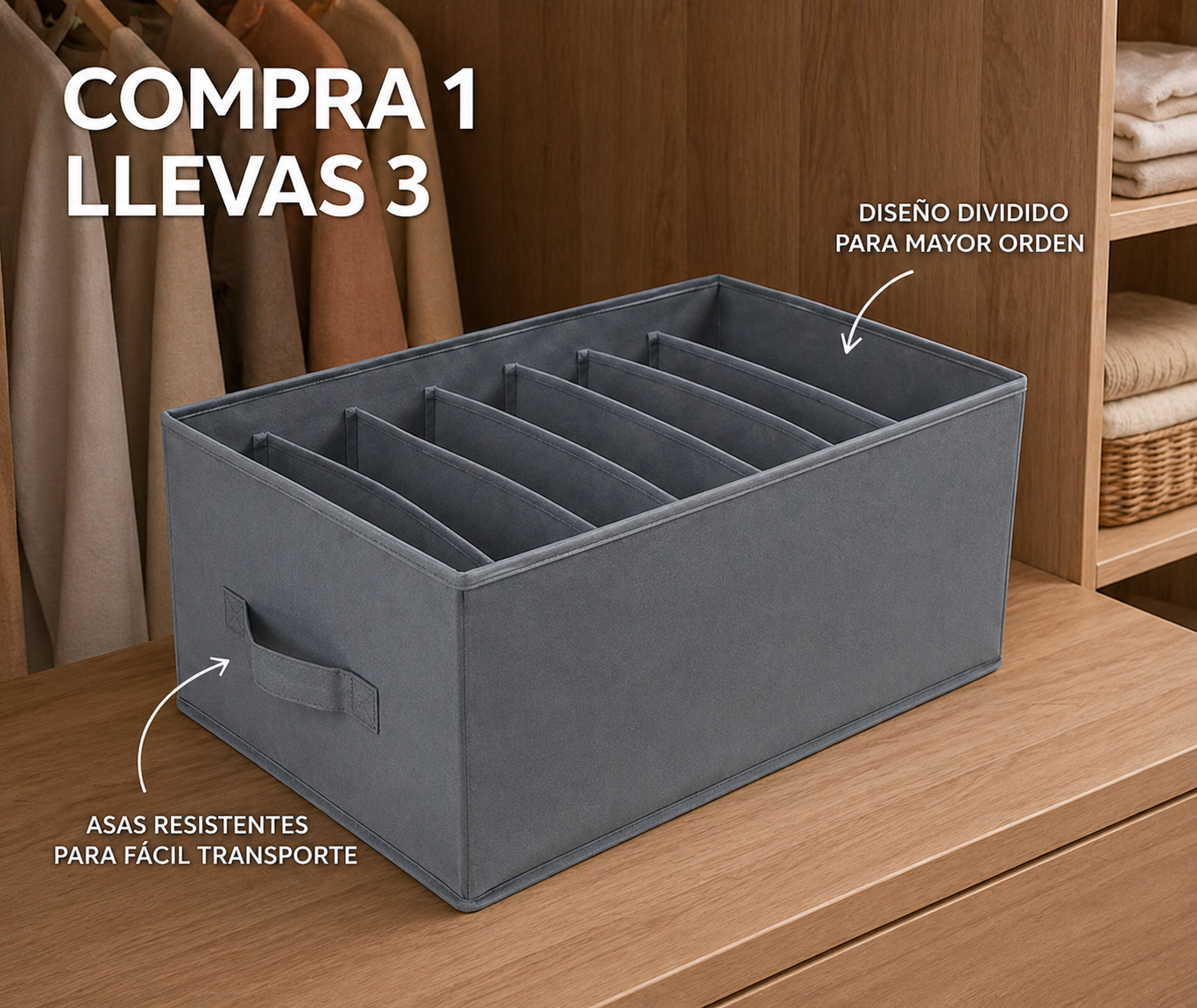 Organizadores de Ropa Plegables (Comprá 1 y Llevate 3)