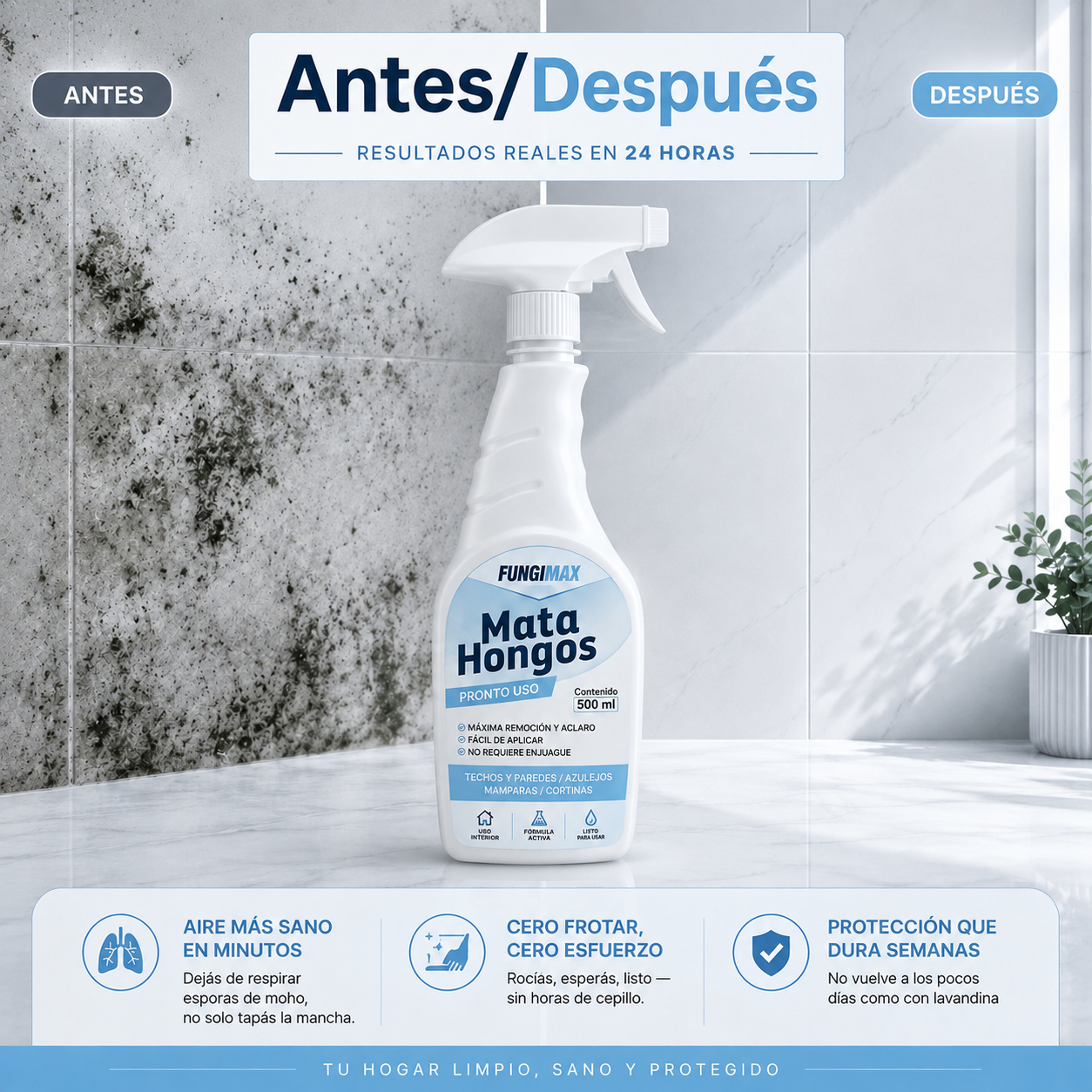 Mata Hongos - Removedor de moho | Paredes más limpias, frescas y protegidas en 24 horas.